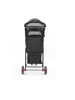 Afbeeldingen van InnoPet® Buggy Avenue