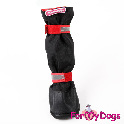 Afbeeldingen van ForMyDogs Cora