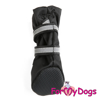 Afbeeldingen van ForMyDogs Blacky