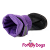 Afbeeldingen van ForMyDogs Daisy