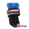 Afbeeldingen van ForMyDogs Rob