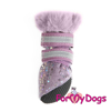 Afbeeldingen van ForMyDogs Polly