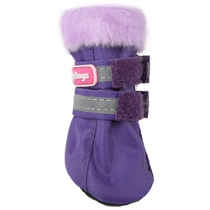 Afbeeldingen van ForMyDogs Lissy