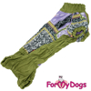 Afbeeldingen van ForMyDogs WiesFemale Dachshund