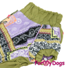 Afbeeldingen van ForMyDogs WiesFemale Dachshund