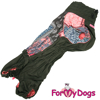 Afbeeldingen van ForMyDogs Viany