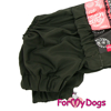Afbeeldingen van ForMyDogs Viany Female Dachshund