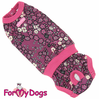 Afbeeldingen van ForMyDogs Guapa