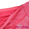 Imagen de ForMyDogs TDSS0007-2023 F