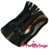 Afbeeldingen van ForMyDogs Army