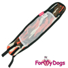 Afbeeldingen van ForMyDogs Army