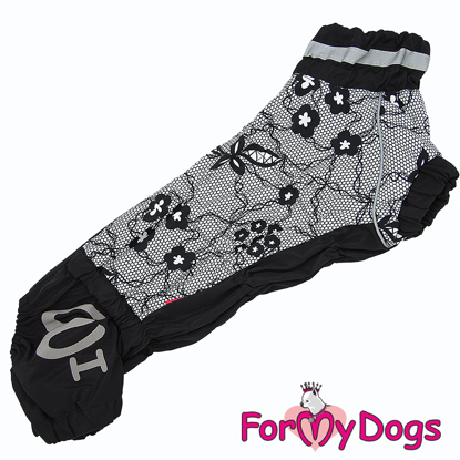 Afbeeldingen van 615SS-2022 FFemale Dachshund