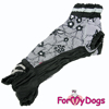 Afbeeldingen van 615SS-2022 FFemale Dachshund