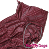 Afbeeldingen van TDSS0004-2023T Female Dachshund
