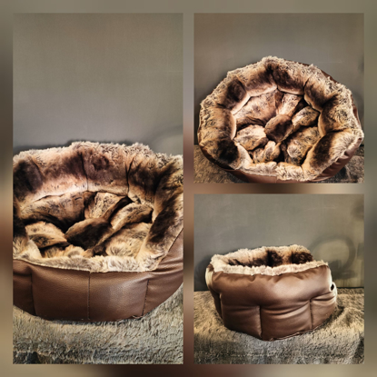 Afbeeldingen van Quadra