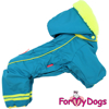 Afbeeldingen van ForMyDogs  TDW0255-2024 F
