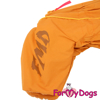 Afbeeldingen van ForMyDogs  TDW0256-2024 F