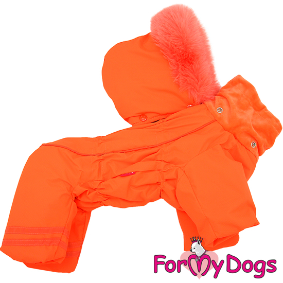 Afbeeldingen van ForMyDogs TDW0277-2024 F