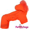 Afbeeldingen van ForMyDogs TDW0277-2024 F