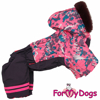 Afbeeldingen van ForMyDogs TDW0237-2024 F