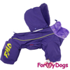 Imagen de ForMyDogs TDW0278-2024 F