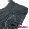 Afbeeldingen van ForMyDogs TDSS0040-2024T Male Dachshund