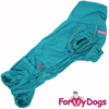 Afbeeldingen van ForMyDogs TTDSS0041-2024T Male Dachshund