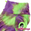 Afbeeldingen van ForMyDogs TDW0310-2024T Male Dachshund