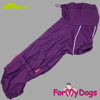 Afbeeldingen van ForMyDogs TDSS0043-2024T FFemale Dachshund