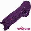 Afbeeldingen van ForMyDogs TDSS0043-2024T FFemale Dachshund