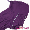 Afbeeldingen van ForMyDogs TDSS0043-2024T FFemale Dachshund