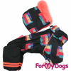 Afbeeldingen van ForMyDogs  TDW0354-2025 Female