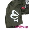 Afbeeldingen van ForMyDogs  TDSS0095-2025 F