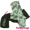 Afbeeldingen van ForMyDogs  TDSS0094-2025 M