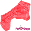 Afbeeldingen van ForMyDogs  TDW0429-2025 F FEMALE