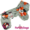 Afbeeldingen van ForMyDogs TDW0434-2025 F FEMALE