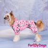 Afbeeldingen van ForMyDogs   TDW0427-2025 F FEMALE