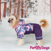 Afbeeldingen van ForMyDogs  TDW0352-2025 F  Female