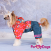 Afbeeldingen van ForMyDogs  TDW0353-2025 F Female