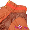 Afbeeldingen van ForMyDogs   TDW0397-2025 M Male