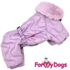 Afbeeldingen van ForMyDogs   TDW0357-2025 F Famale