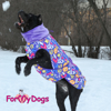 Afbeeldingen van ForMyDogs TDW0340/3-2025