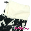 Afbeeldingen van ForMyDogs  TDW0367-2025Т F Female Dachshund