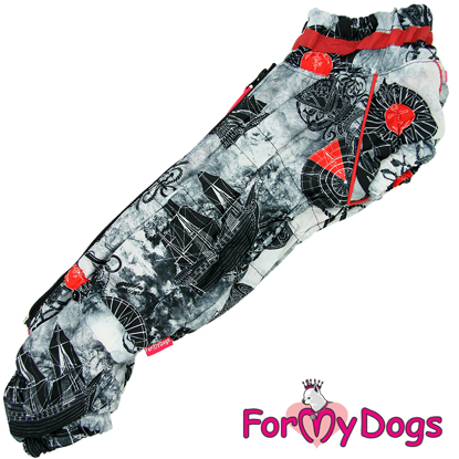 Afbeeldingen van ForMyDogs   TDW0359-2025T M Male Dachshund