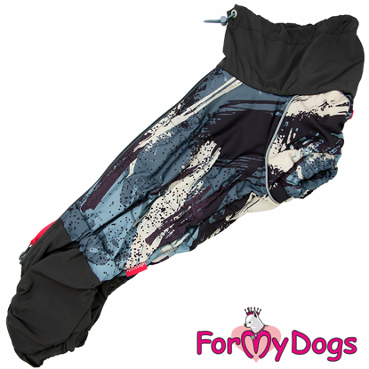 Afbeeldingen van ForMyDogs  TDW0247-2024T M Male Dachshund