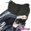 Afbeeldingen van ForMyDogs  TDW0247-2024T M Male Dachshund