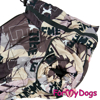 Afbeeldingen van ForMyDogs TDW0245-2024T M Male Dachshund
