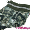 Afbeeldingen van ForMyDogs TDW0207-2023T Male Dachshund