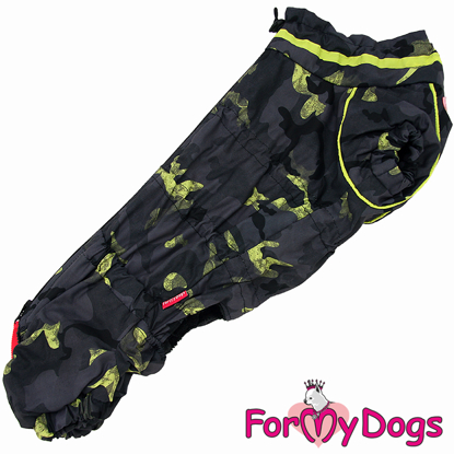 Afbeeldingen van ForMyDogs TDW0095-2023K Male Dachshund