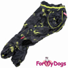 Afbeeldingen van ForMyDogs TDW0095-2023K Male Dachshund